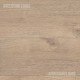 COREtec Advanced+ - Pronto Oak COREtec Advanced+ - Pronto Oak